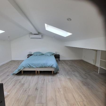 Appartement Entierement Renove A Neuf 101 생테티엔 외부 사진