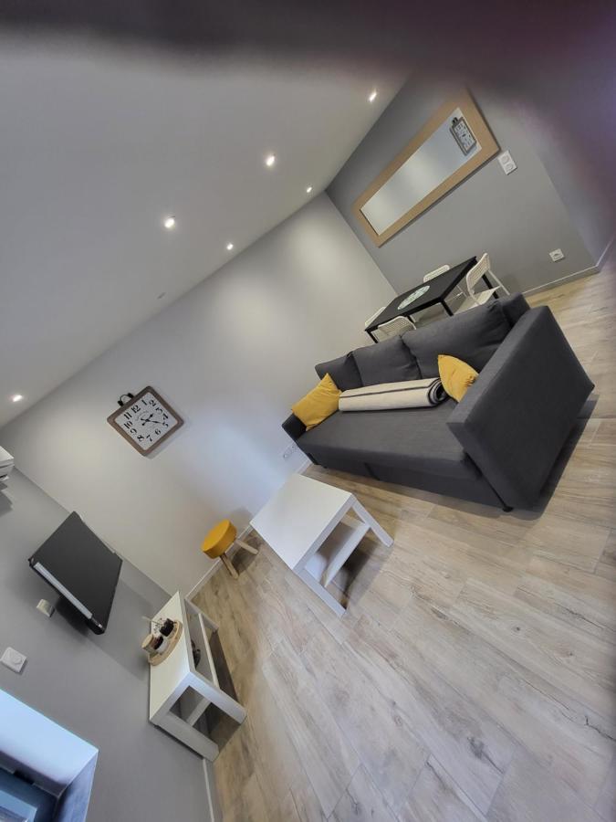 Appartement Entierement Renove A Neuf 101 생테티엔 외부 사진