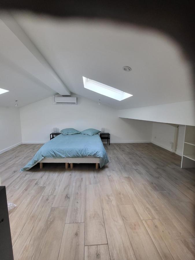 Appartement Entierement Renove A Neuf 101 생테티엔 외부 사진
