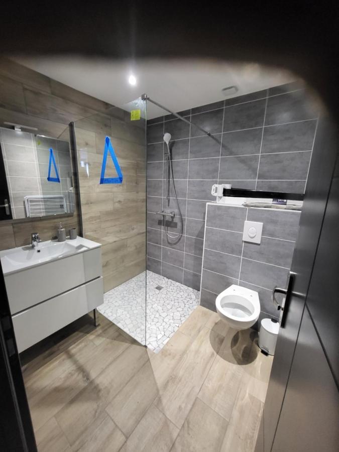 Appartement Entierement Renove A Neuf 101 생테티엔 외부 사진